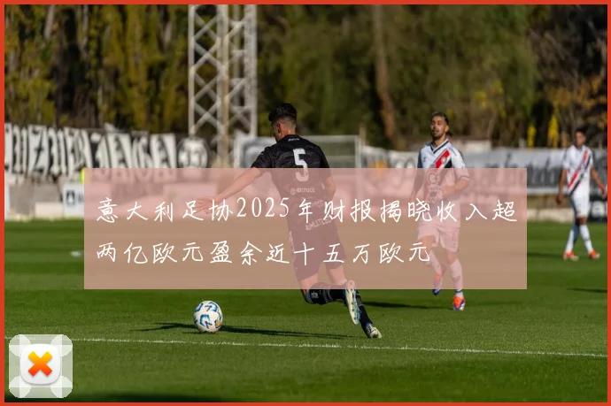 意大利足协2025年财报揭晓收入超两亿欧元盈余近十五万欧元