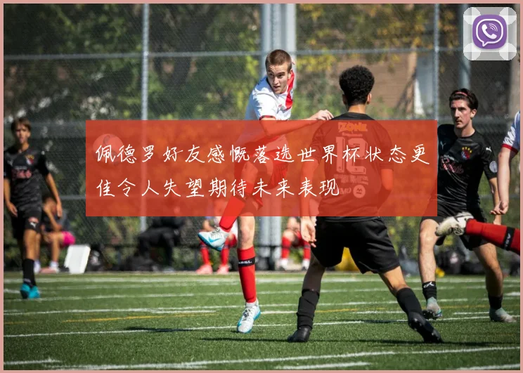 佩德罗好友感慨落选世界杯状态更佳令人失望期待未来表现