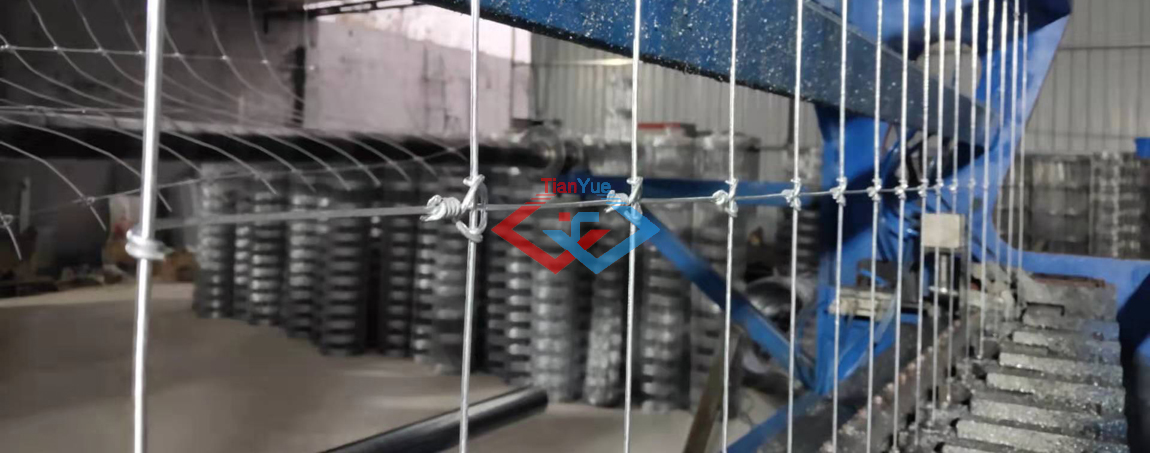 Fixed Knotted Fencing 1(图1)