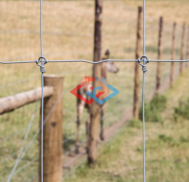 Fixed Knotted Fencing 1(图4) Fixed Knotted Fencing 1(图4)
