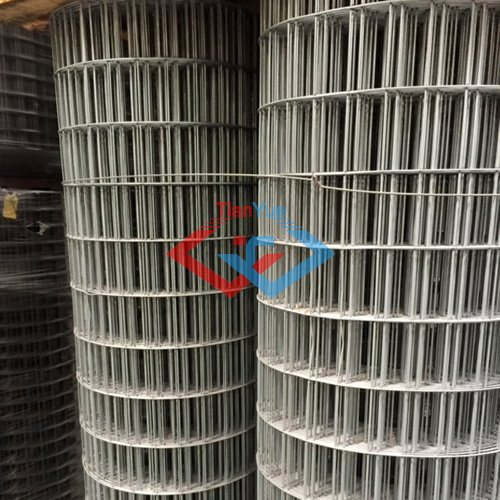 Welded Wire Mesh Roll (图3) 1-21030Q45A3395.jpg