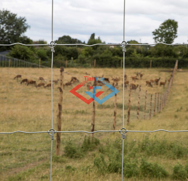 Fixed Knot Fence (图5) Fixed Knot Fence (图6)